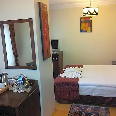 Berce Hotel Istanbul מלון 3*