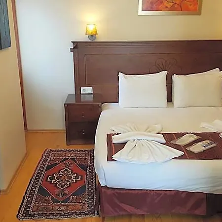 Berce Hotel Istanbul מלון